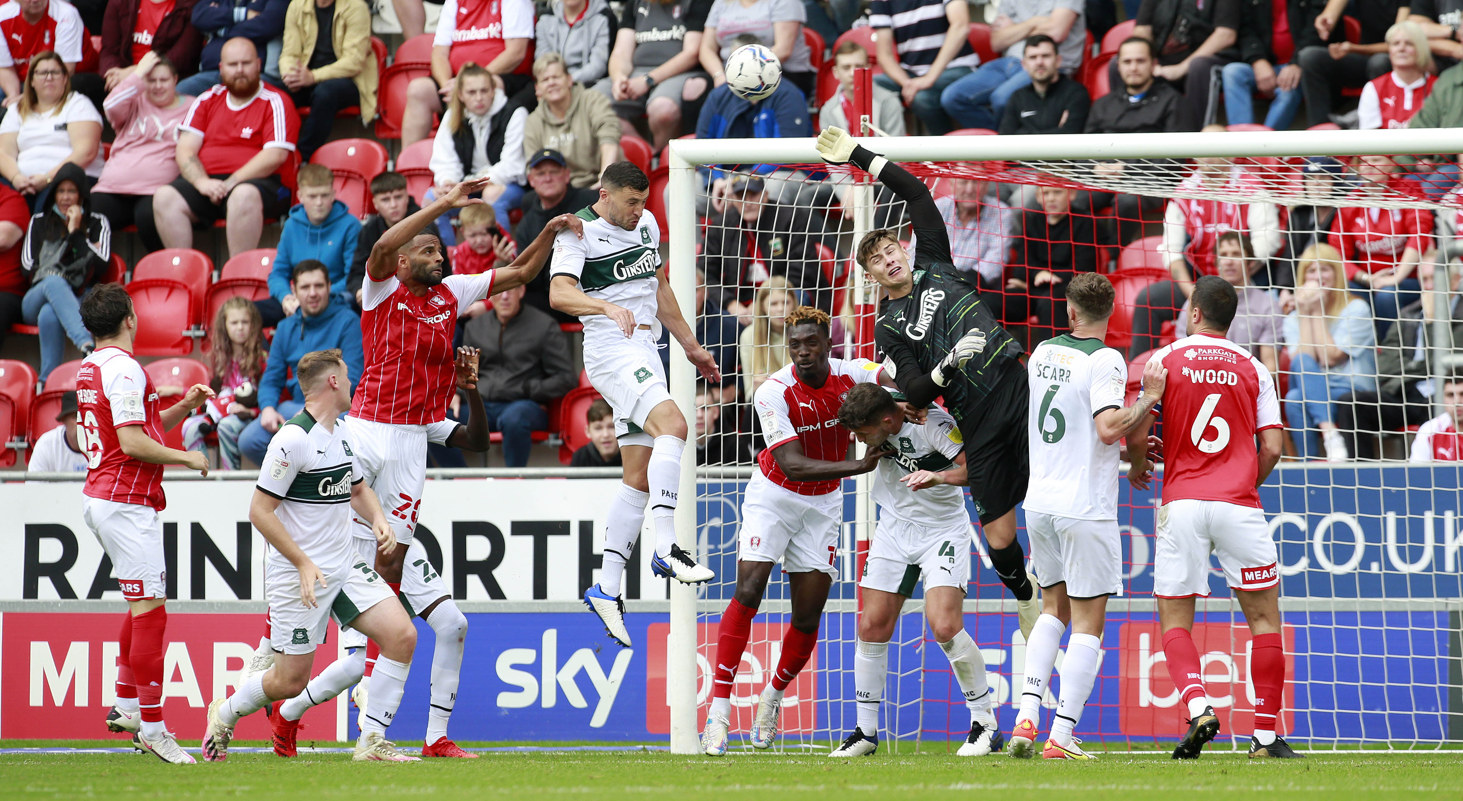 Gallery | Rotherham United