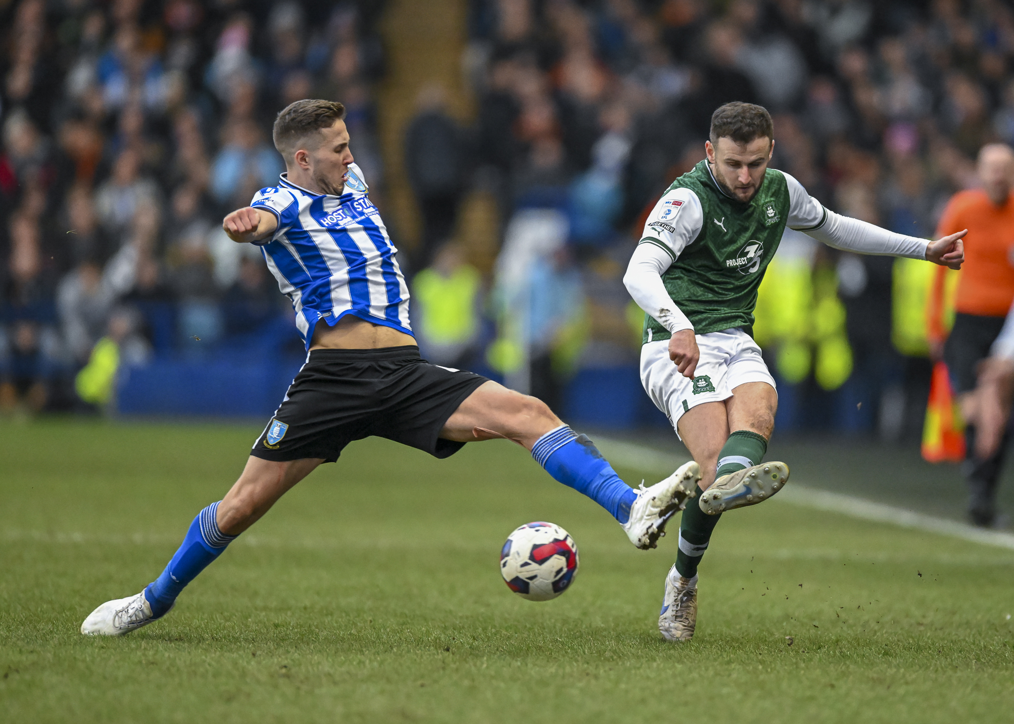 Gallery | Sheffield Wednesday (A) | Plymouth Argyle - PAFC