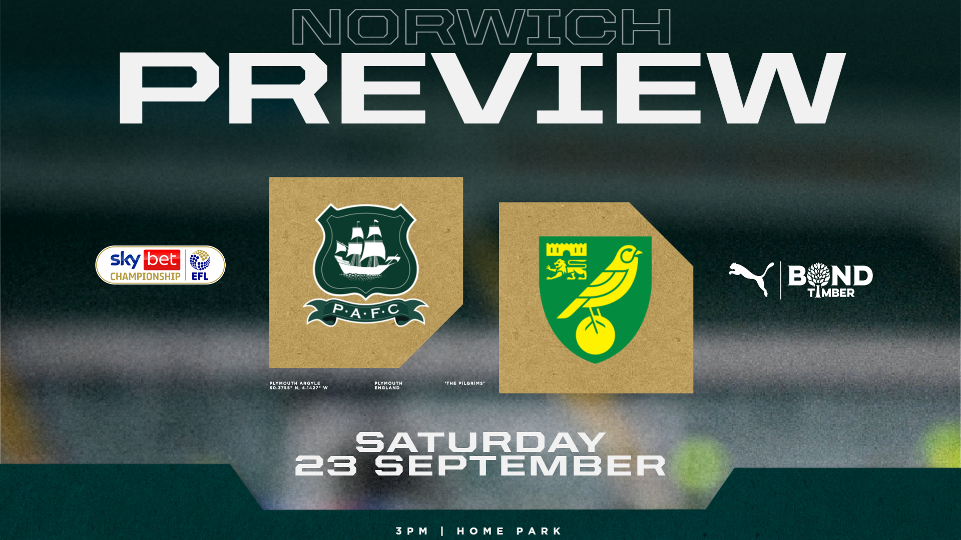 Norwich City Preview