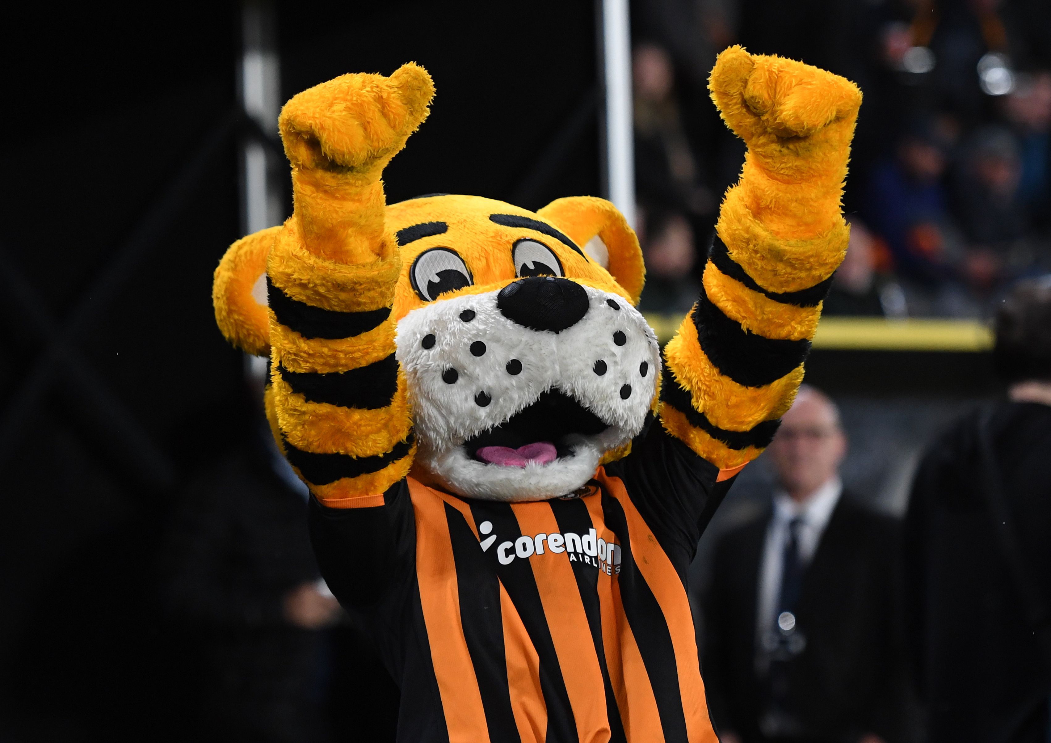The Hull City Mascot