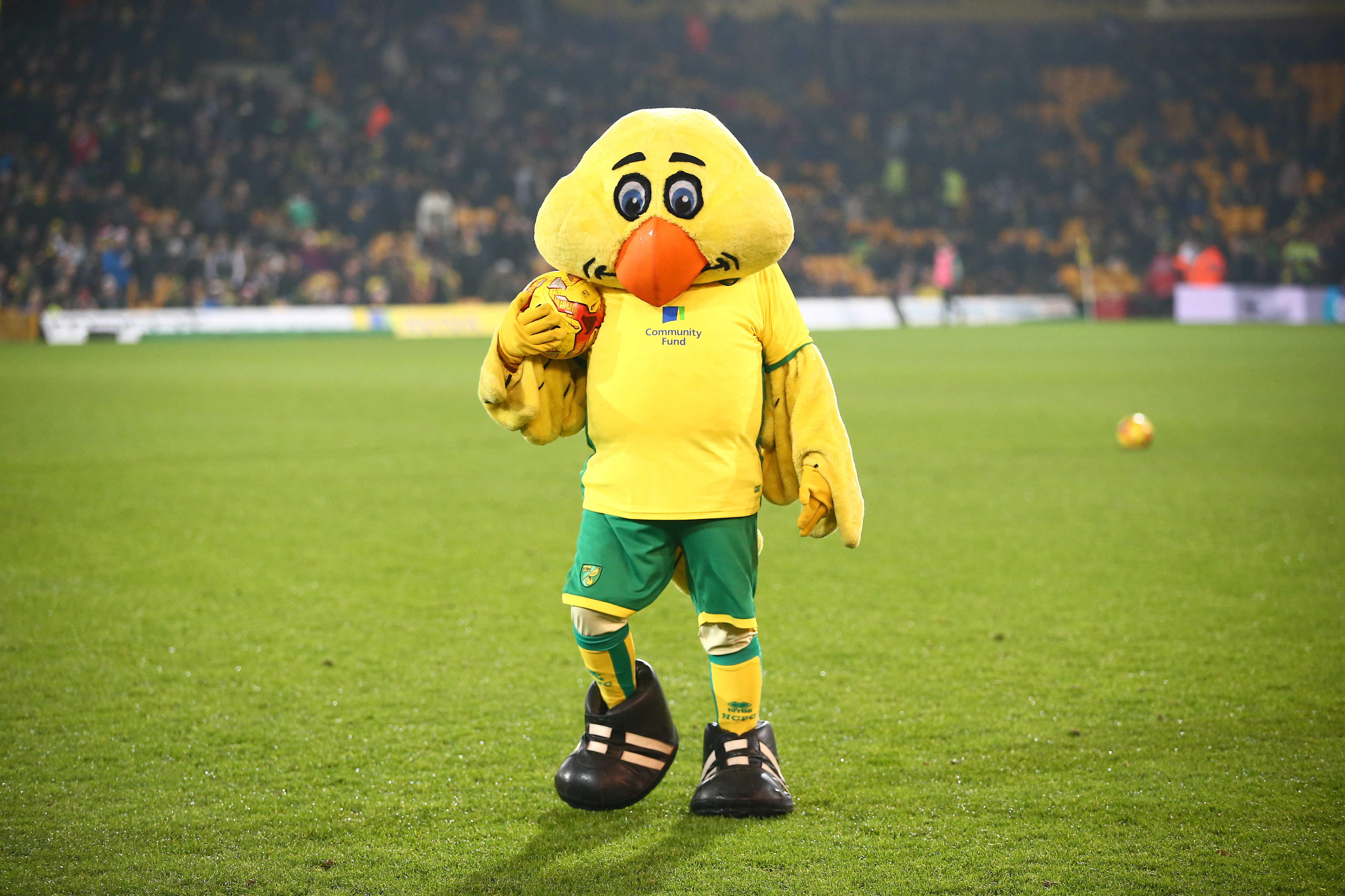 Norwich City Mascot - Captain Canary