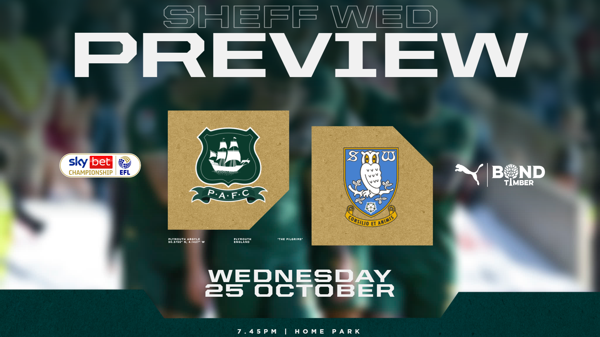 Sheffield Wednesday Preview