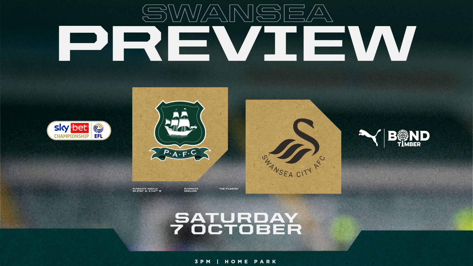 Swansea City preview