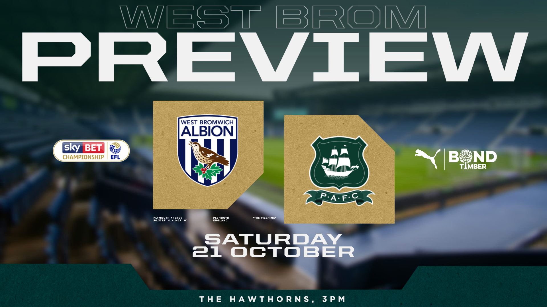 West Bromwich albion preview