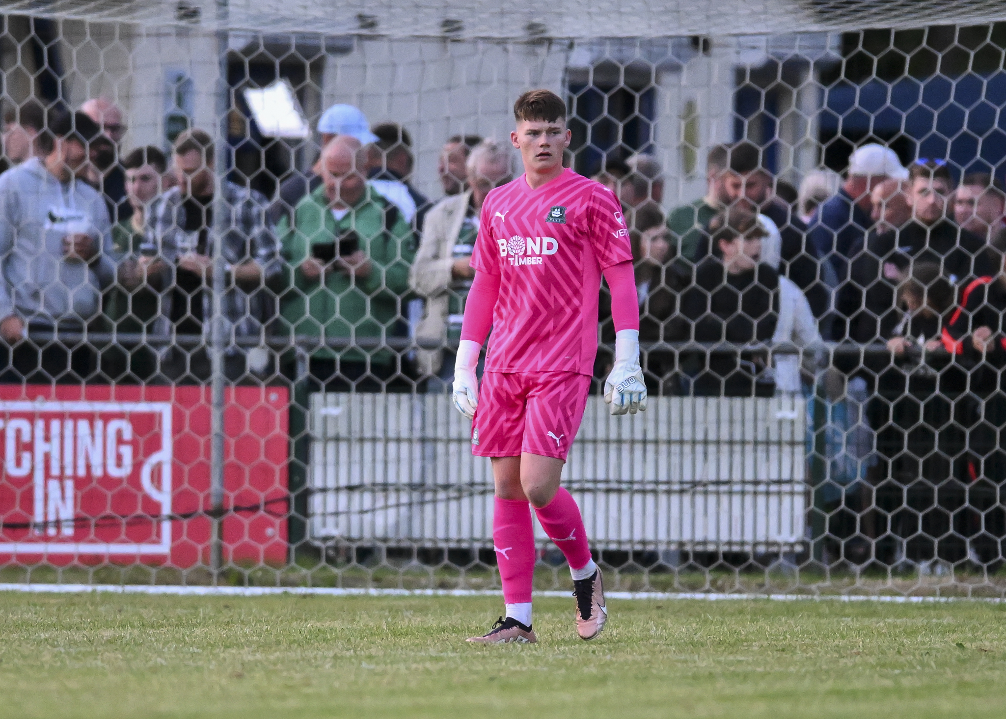 PRE SEASON FRIENDLY  Details for Tiverton Town FC