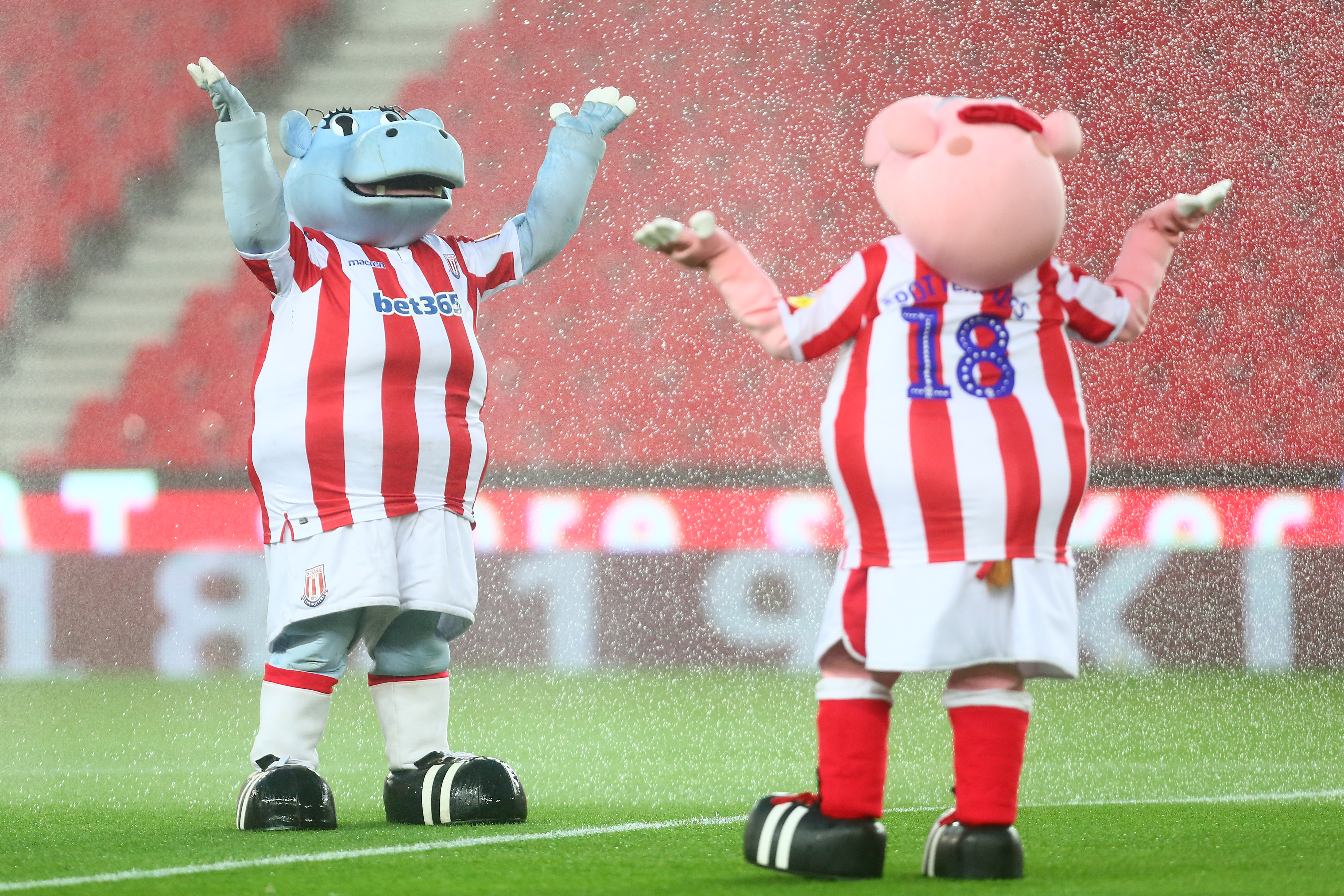 Stoke City mascots