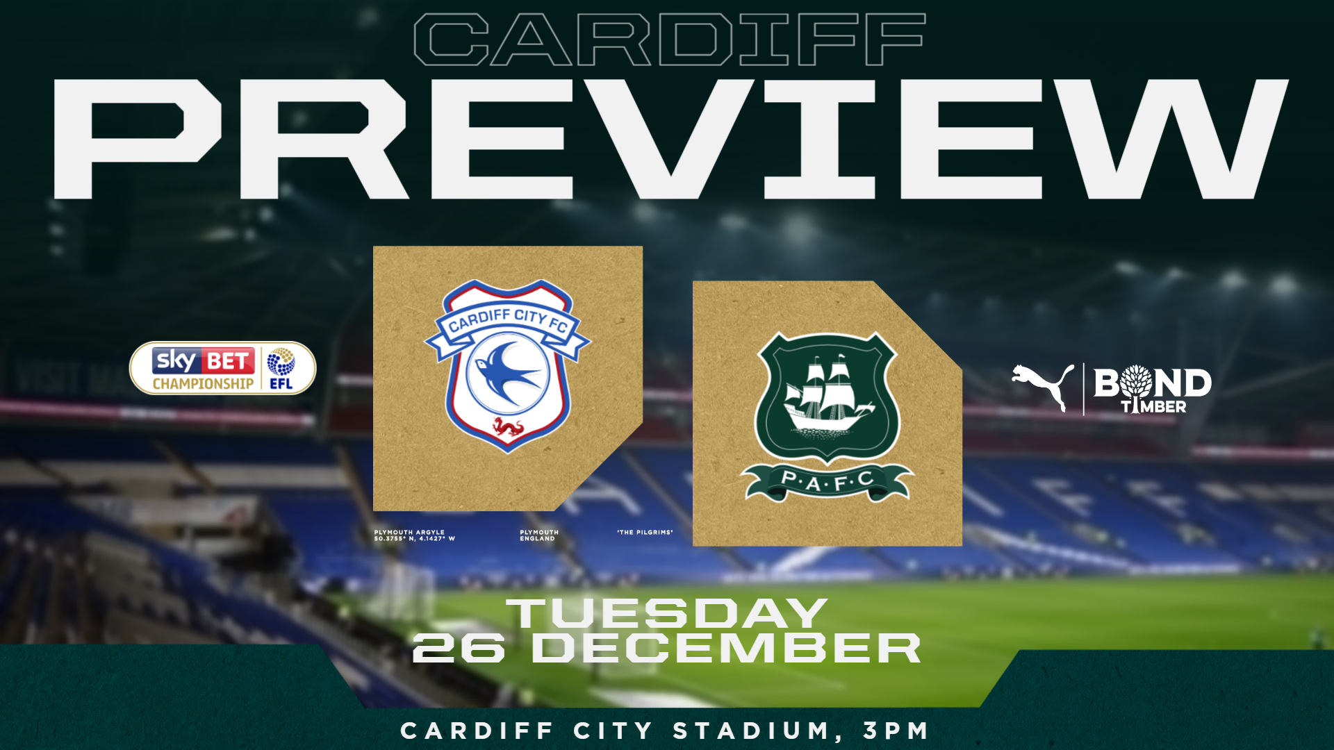 Cardiff City preview