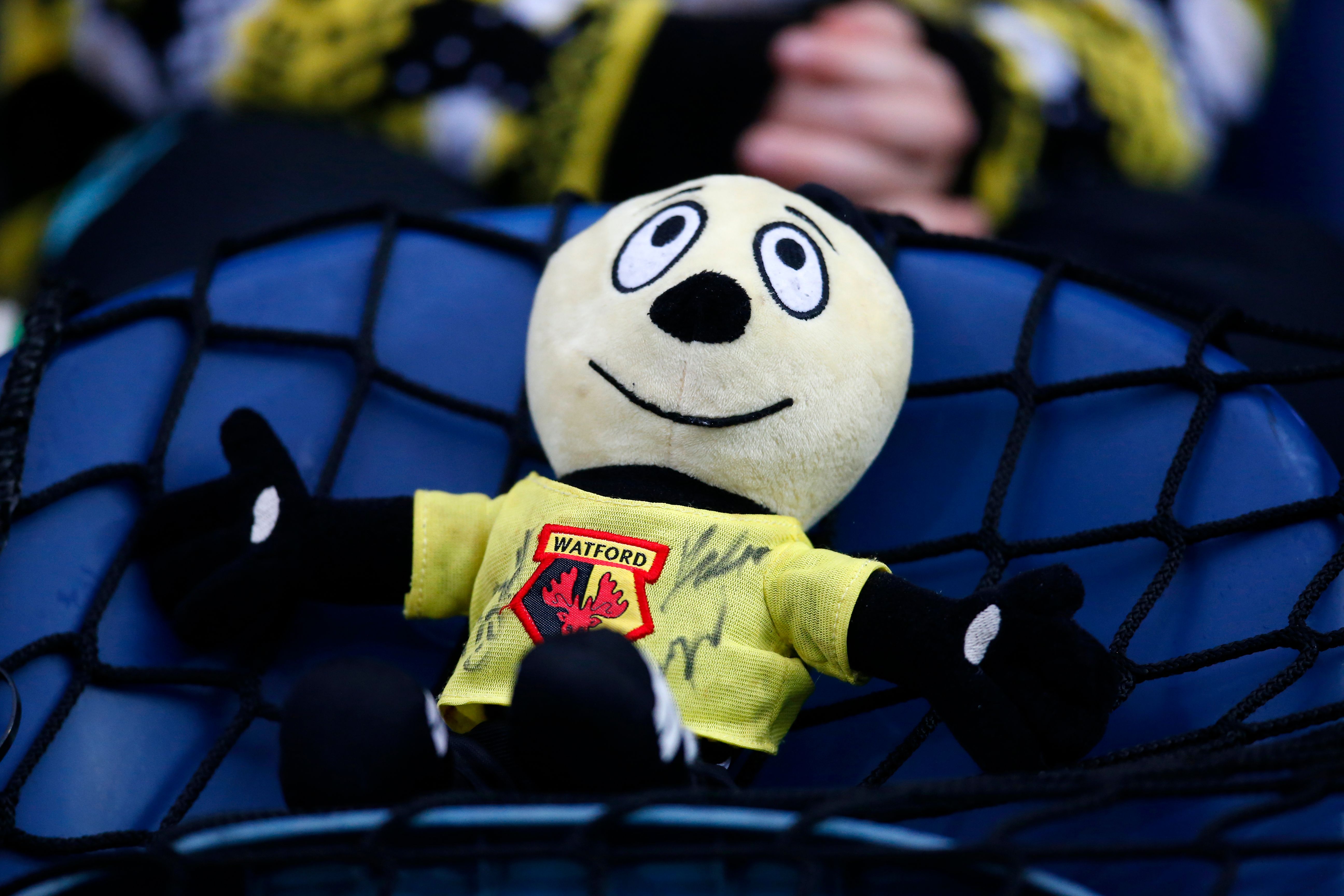 A cuddly toy of Harry the Hornet (Watford's mascot)