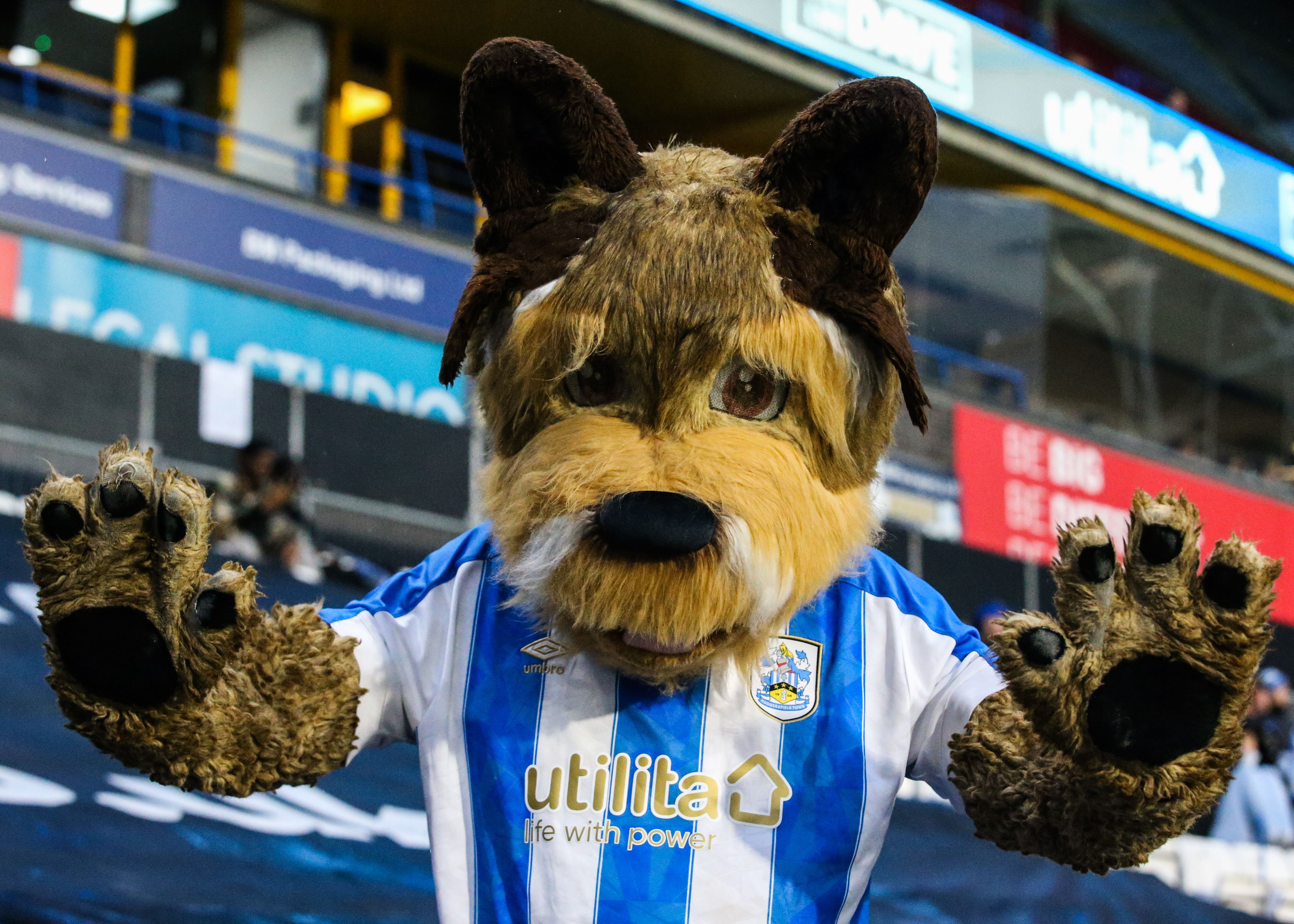 Huddersfield Town's Yorkshire Terrier Mascot