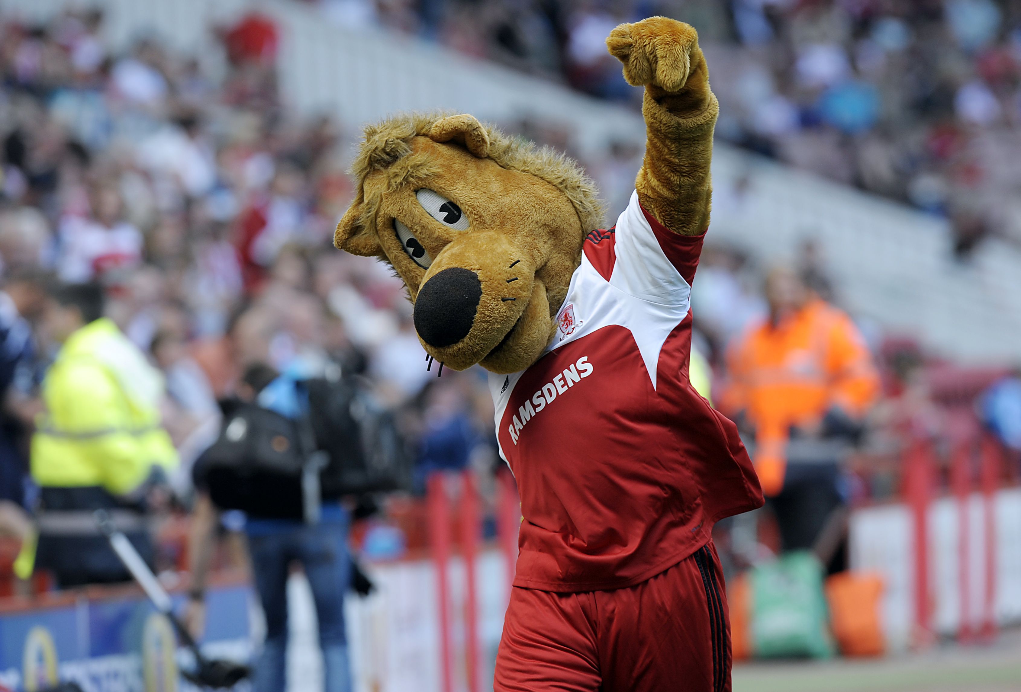 Middlesbrough Mascot Roary the Lion