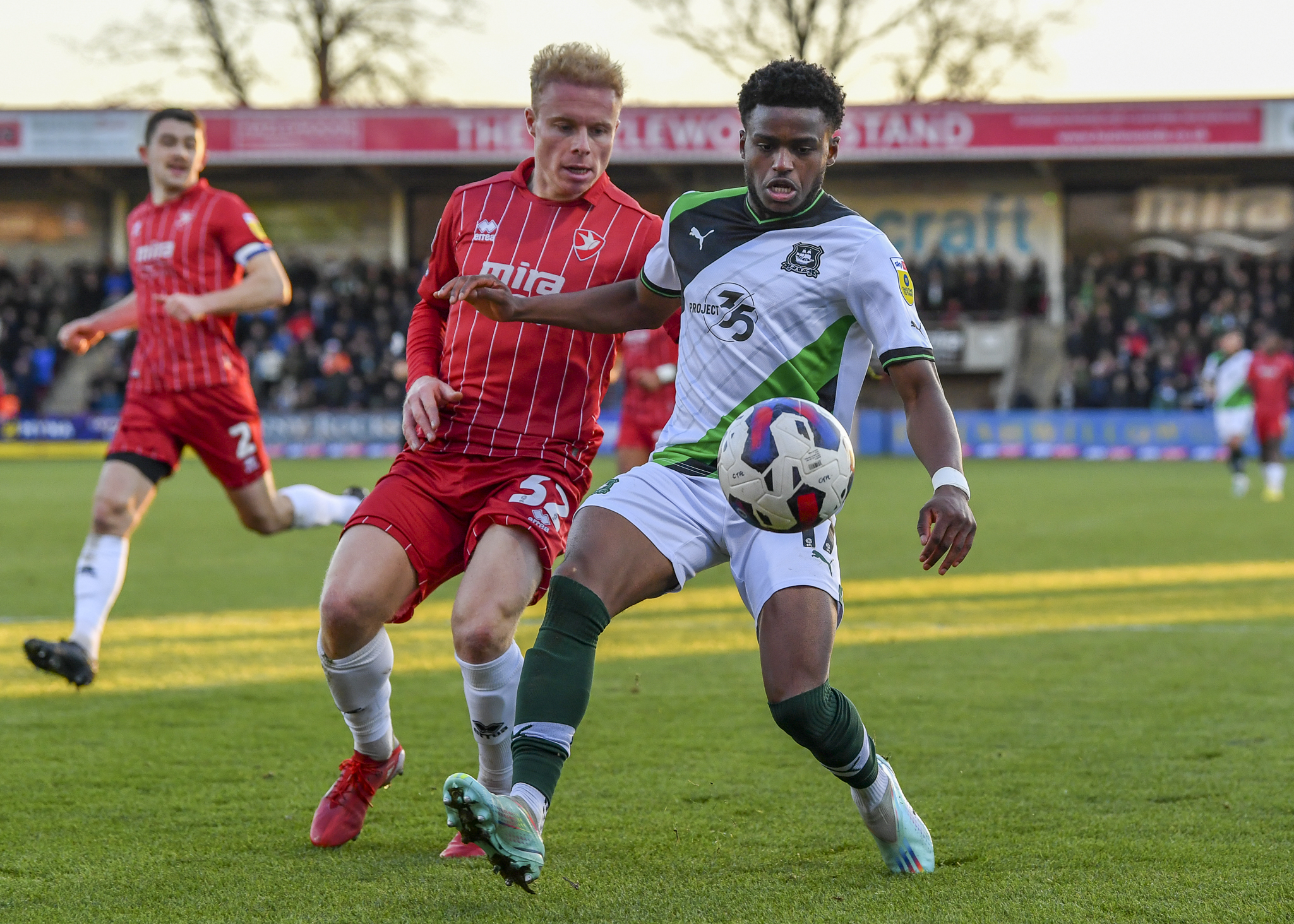 Argyle v Cheltenham