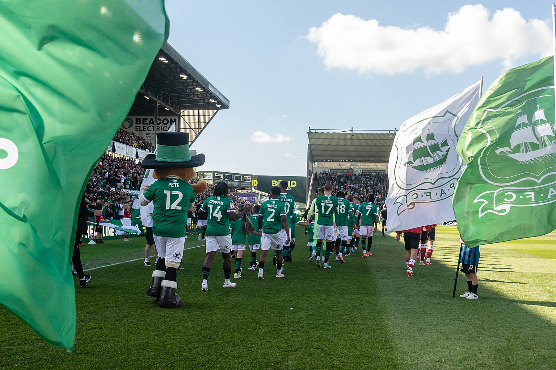 Flags at Home Park Stadium