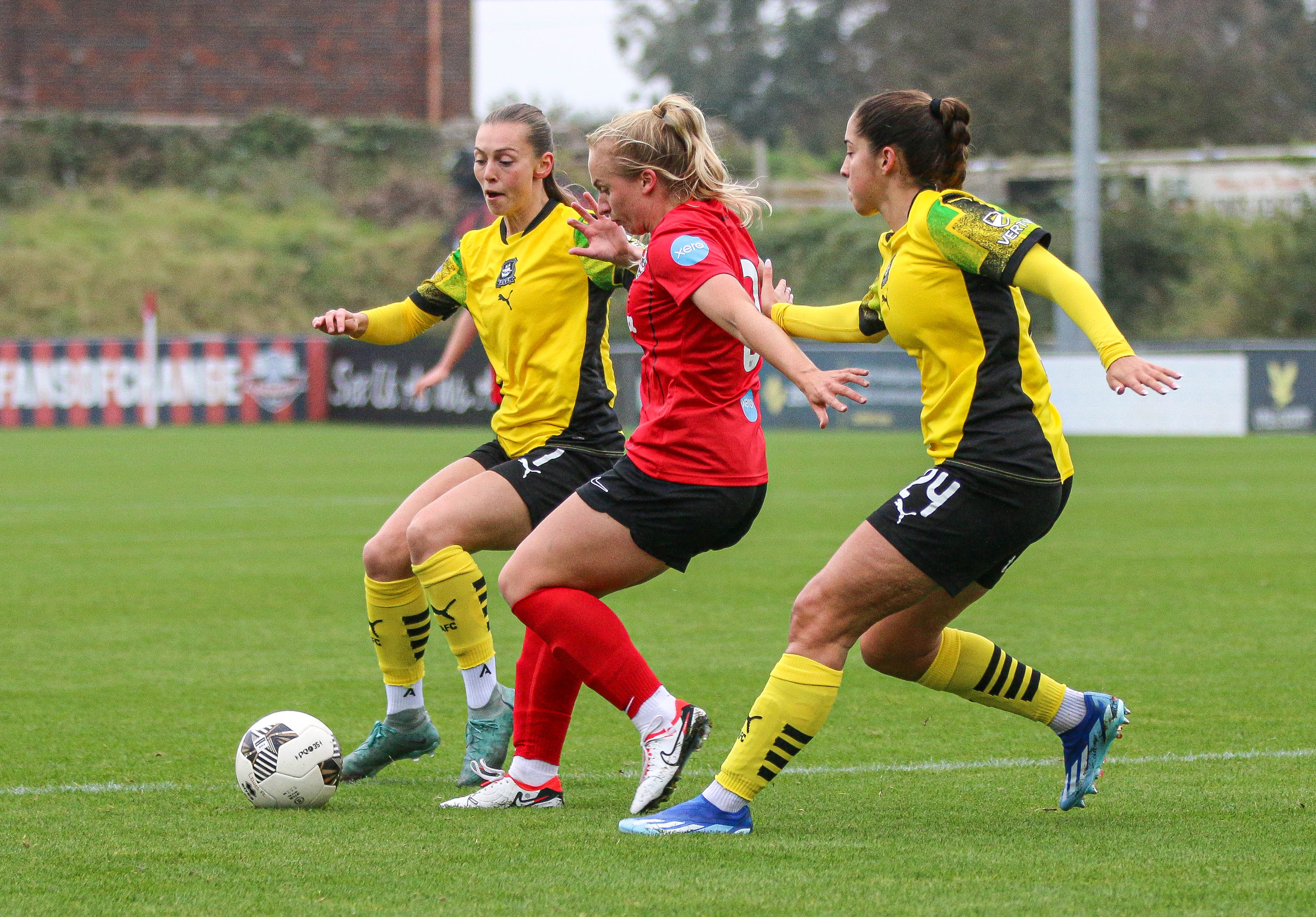 Argyle women v Lewes