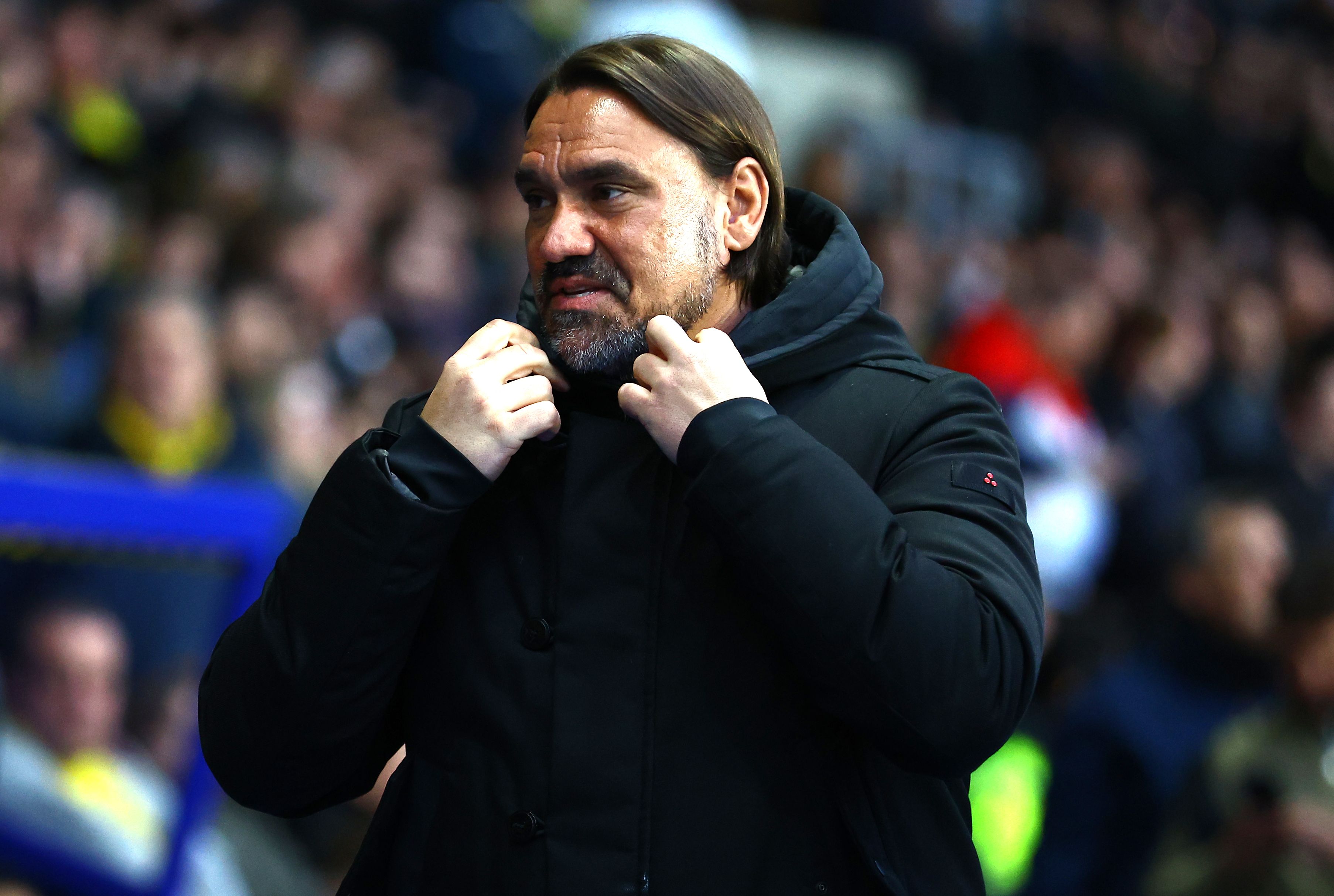 Daniel Farke