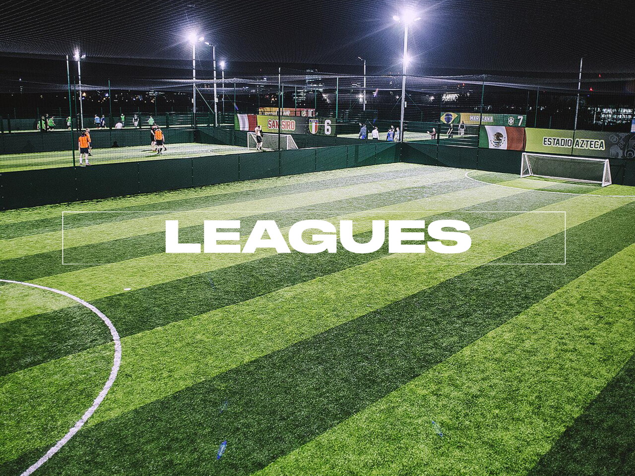 LEAGUES GOALS