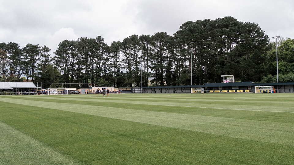 Alt Look | Plymouth Parkway 