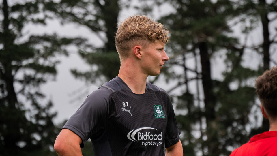 Alt Look | Plymouth Parkway 