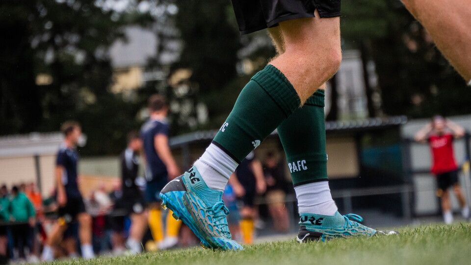 Alt Look | Plymouth Parkway 