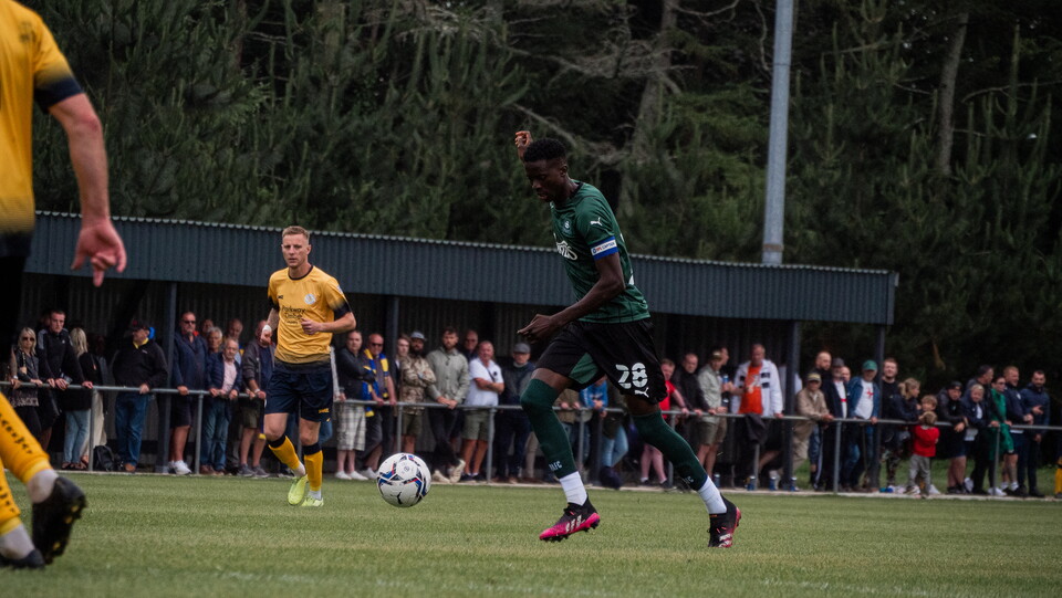 Alt Look | Plymouth Parkway 