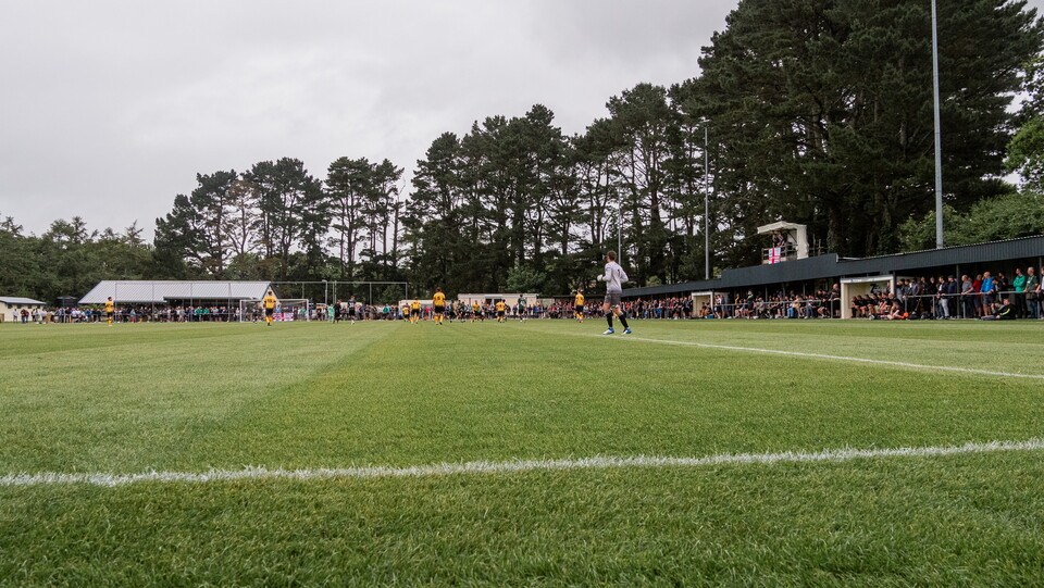 Alt Look | Plymouth Parkway 