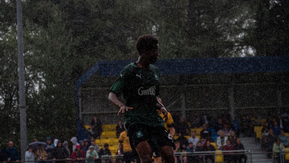 Alt Look | Plymouth Parkway 