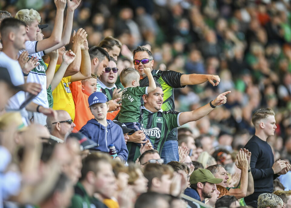 Green Army against Sheffield Wednesday