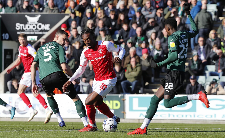 Gallery | Rotherham United (H)
