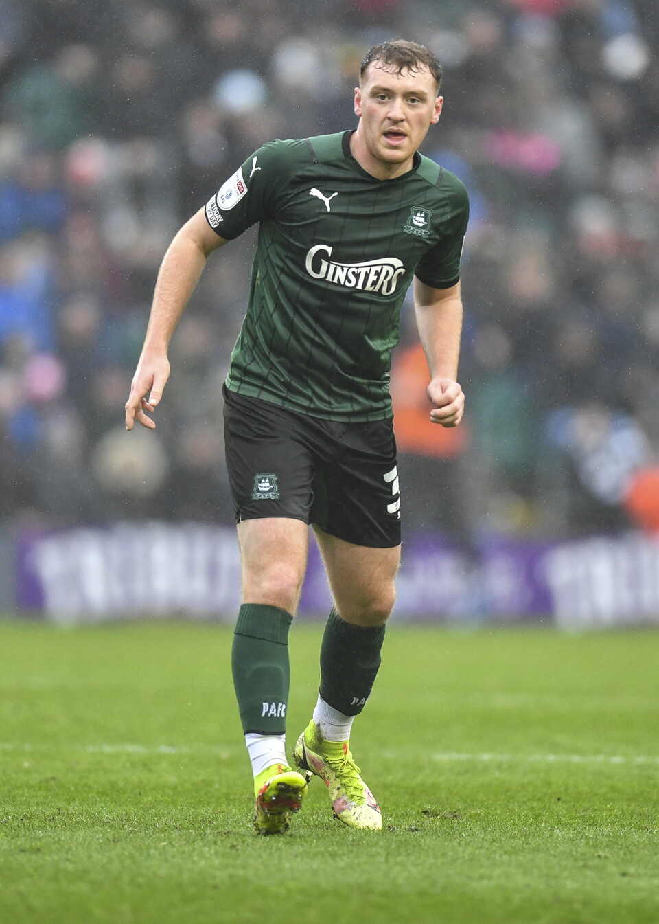 Gallery | Shrewsbury Town (H)