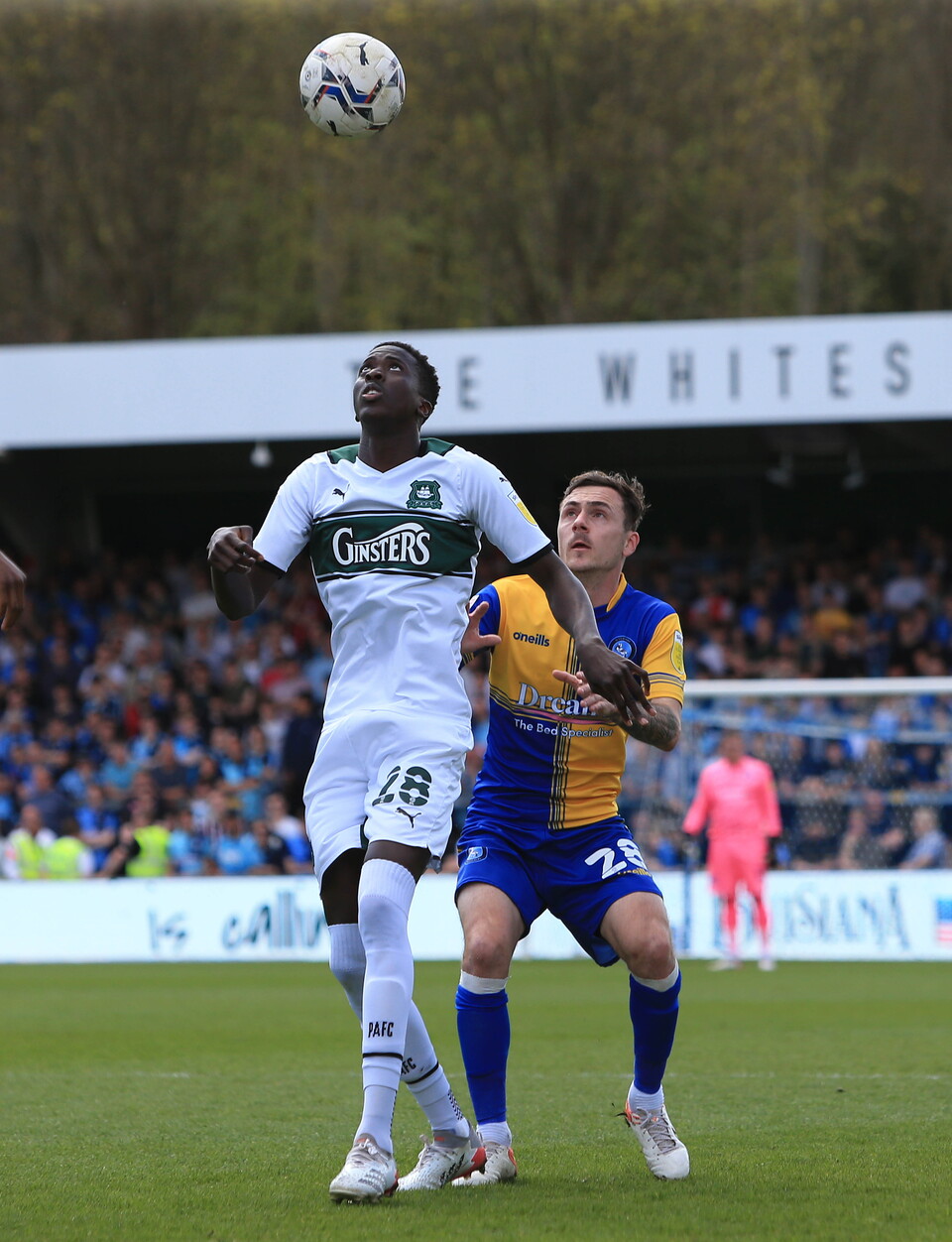 Wycombe Wanderers v Argyle