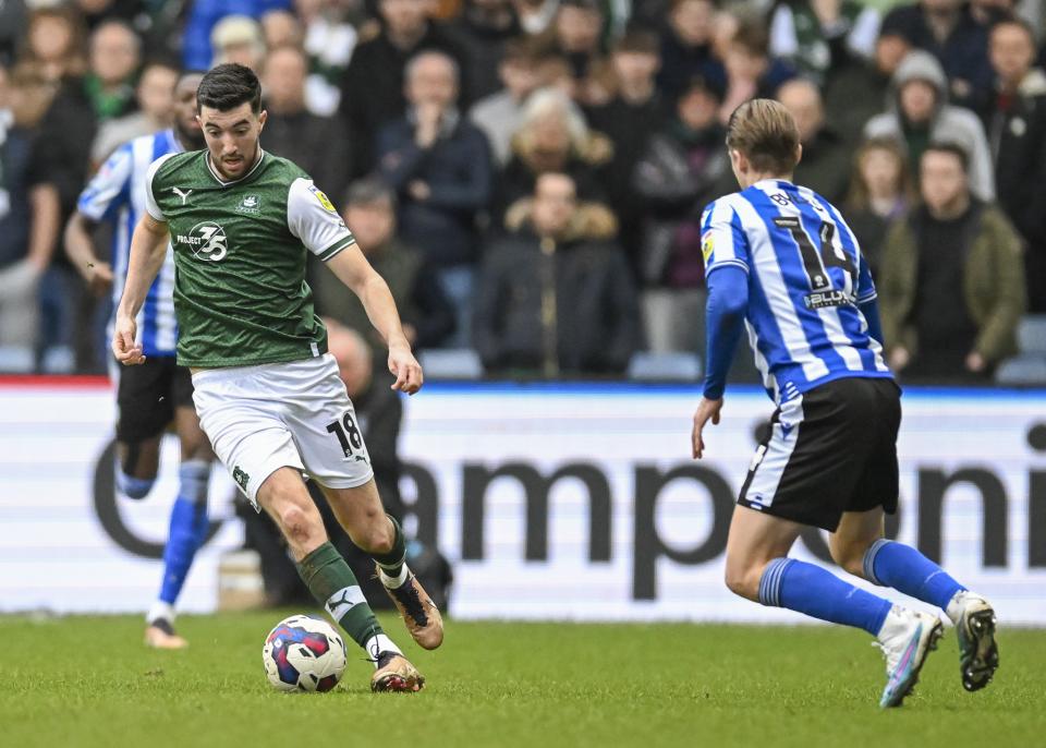 Sheffield Wednesday gallery