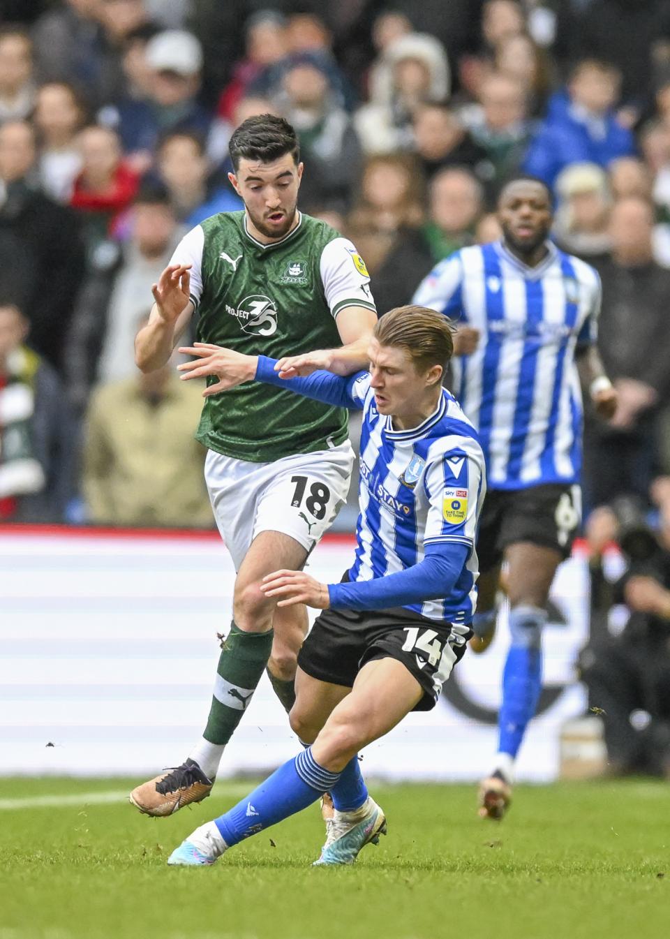 Sheffield Wednesday gallery