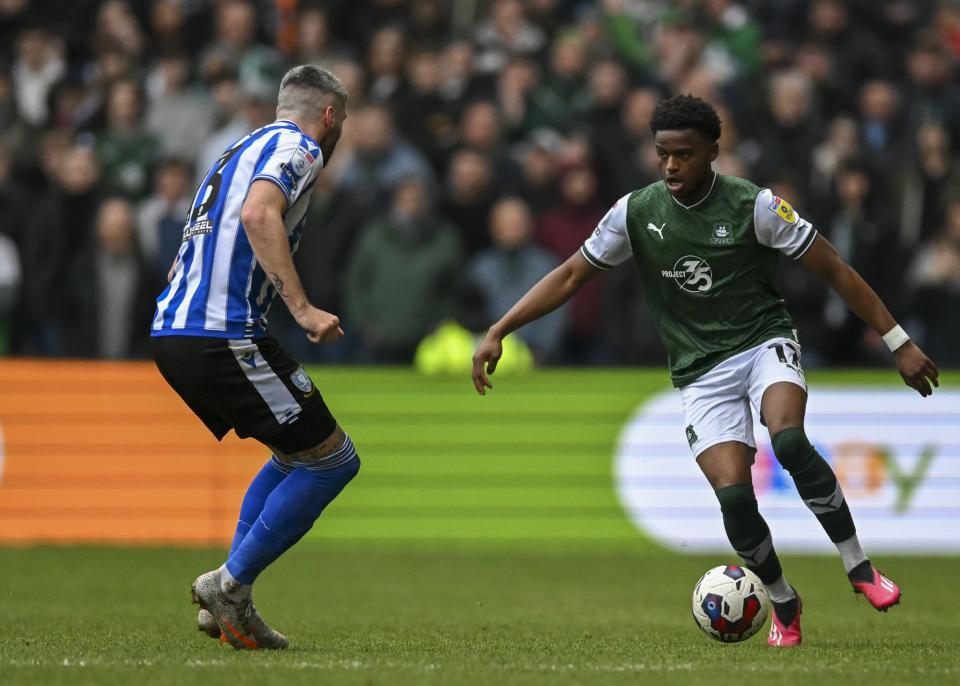 Sheffield Wednesday gallery