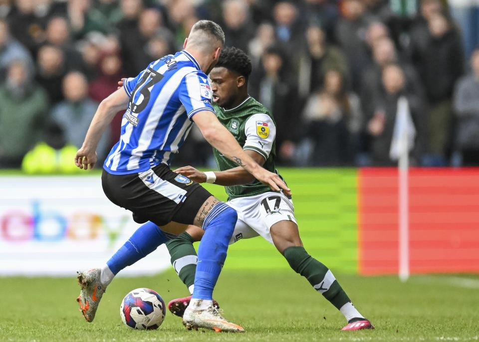 Sheffield Wednesday gallery