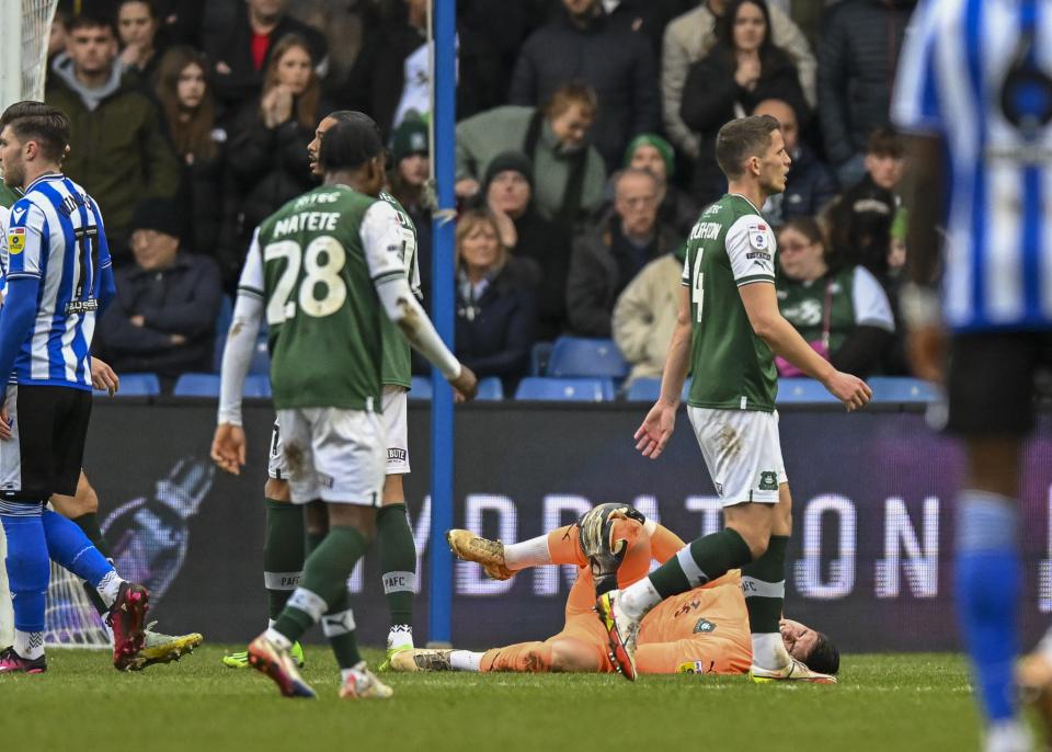 Sheffield Wednesday gallery