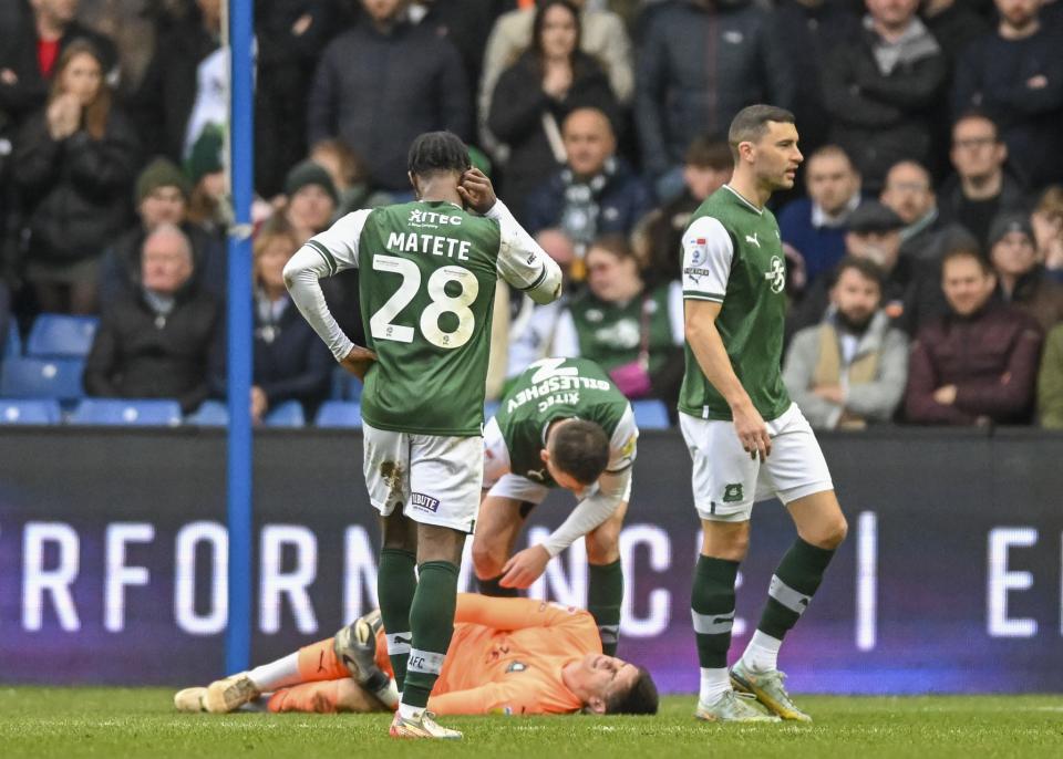 Sheffield Wednesday gallery