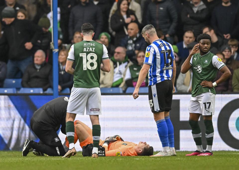 Sheffield Wednesday gallery