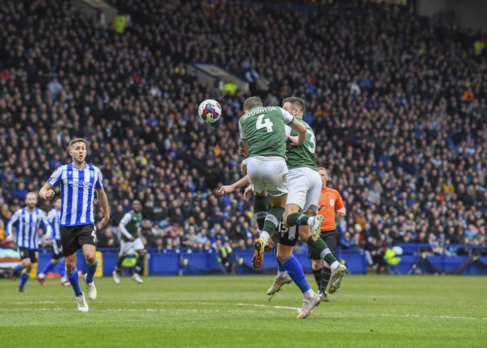 Sheffield Wednesday gallery