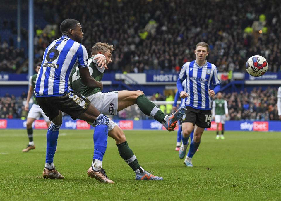 Sheffield Wednesday gallery