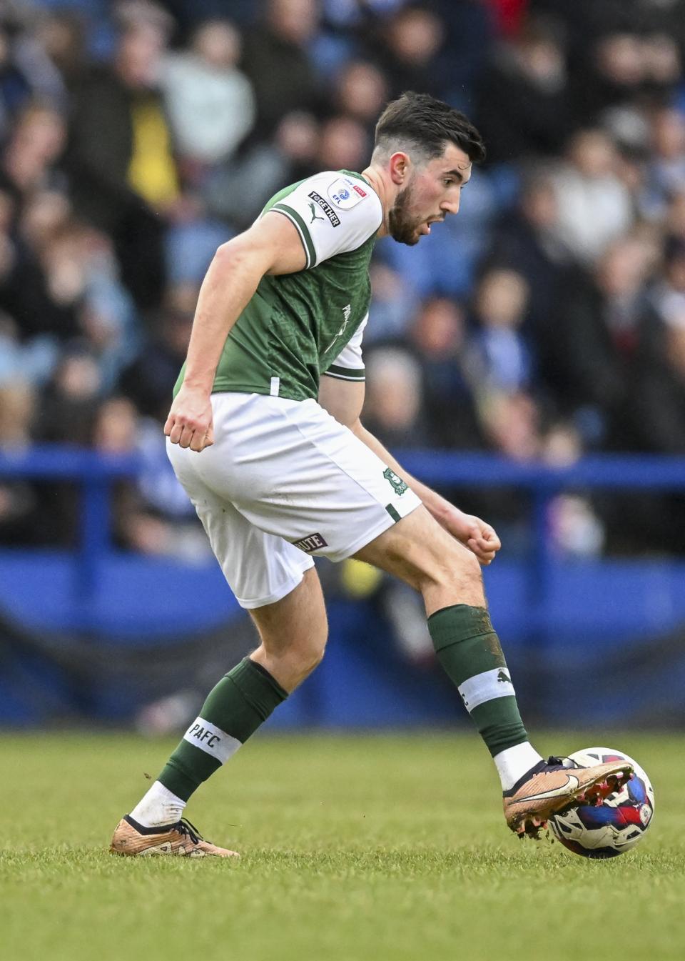 Sheffield Wednesday gallery