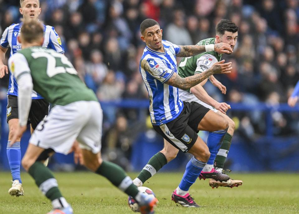 Sheffield Wednesday gallery