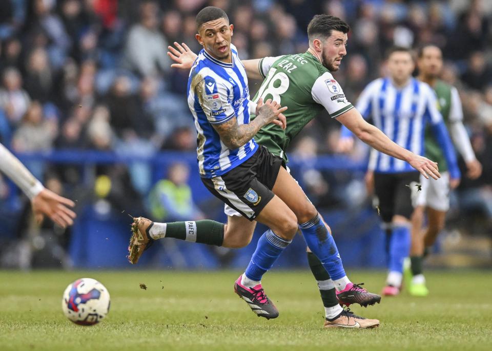 Sheffield Wednesday gallery