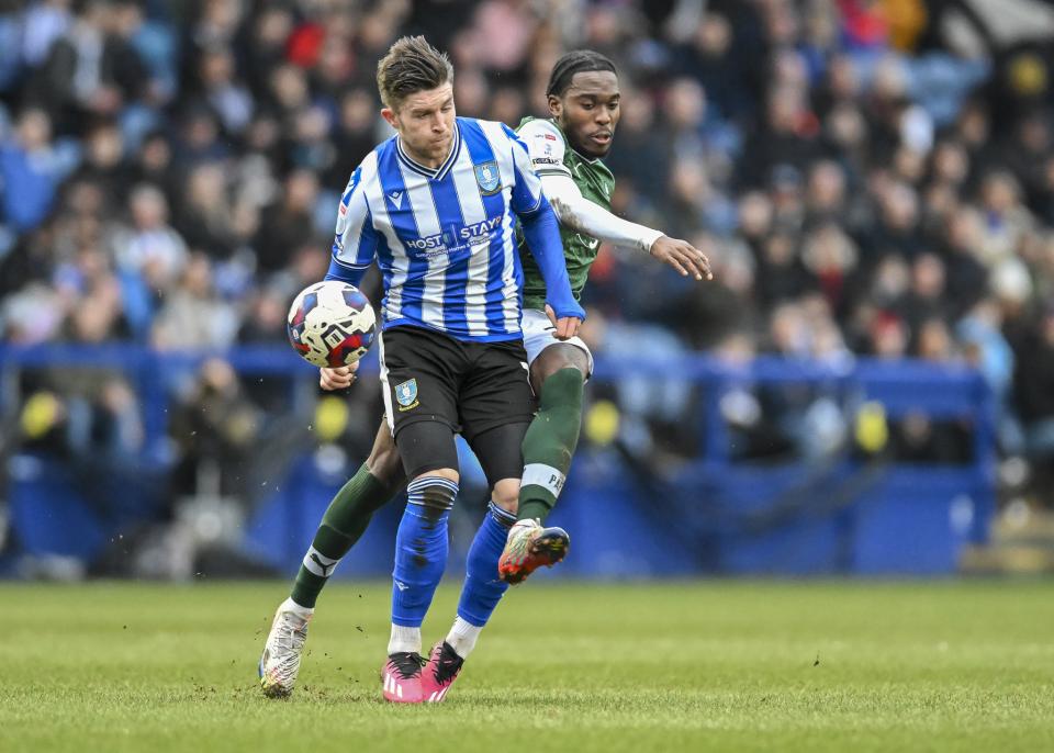 Sheffield Wednesday gallery