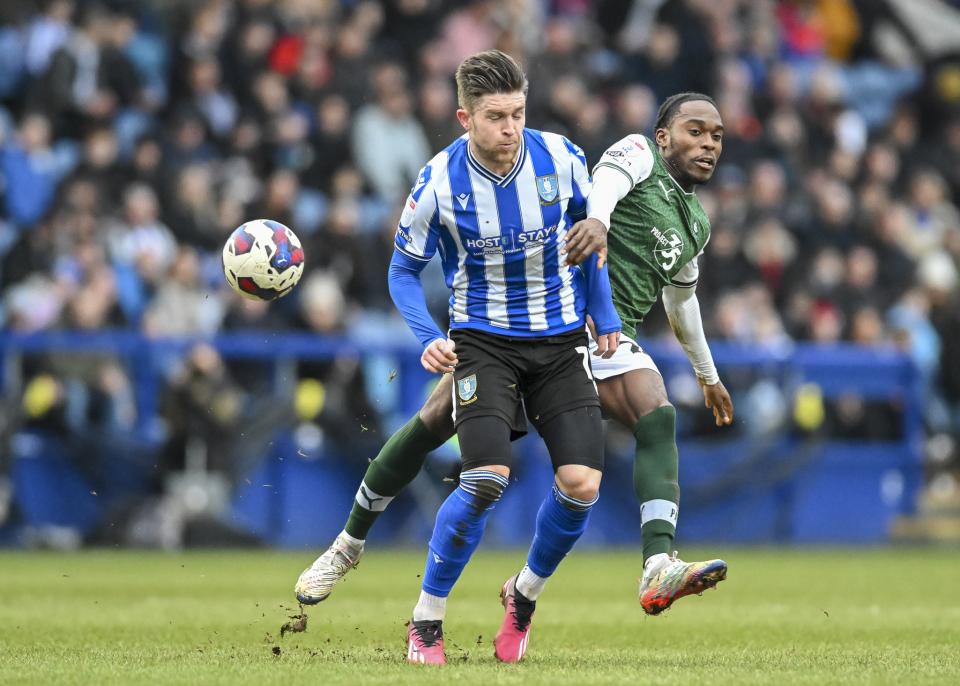 Sheffield Wednesday gallery