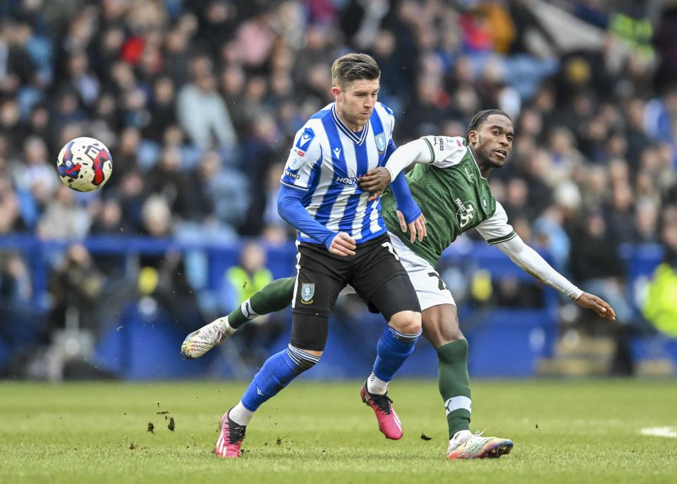 Sheffield Wednesday gallery