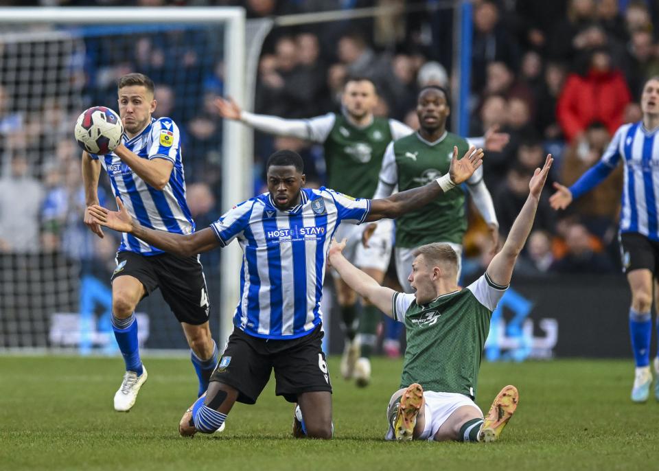 Sheffield Wednesday gallery