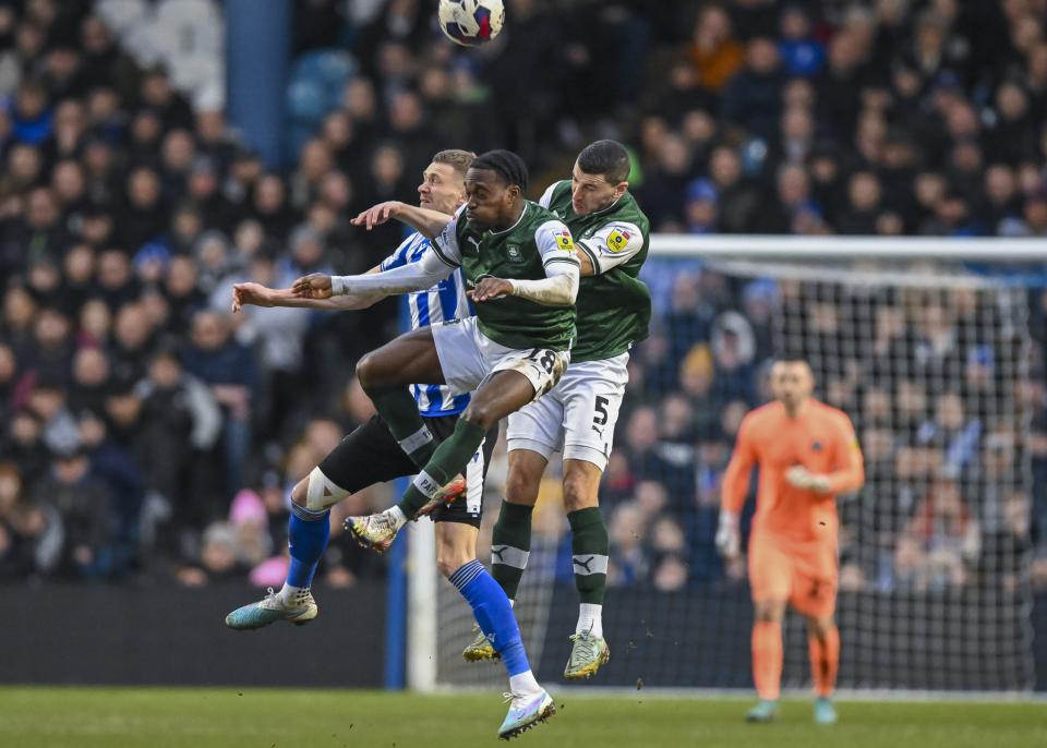 Sheffield Wednesday gallery