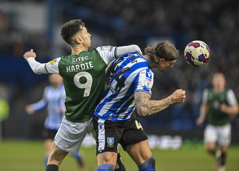 Sheffield Wednesday gallery