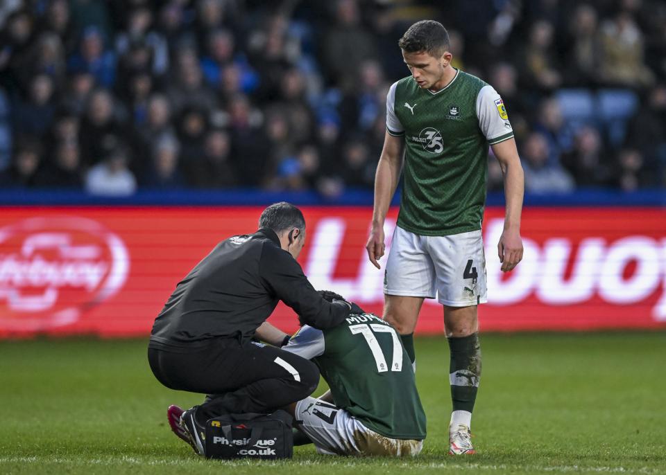 Sheffield Wednesday gallery