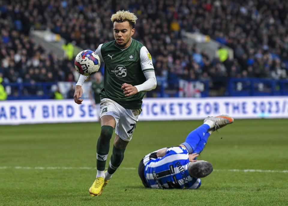 Sheffield Wednesday gallery