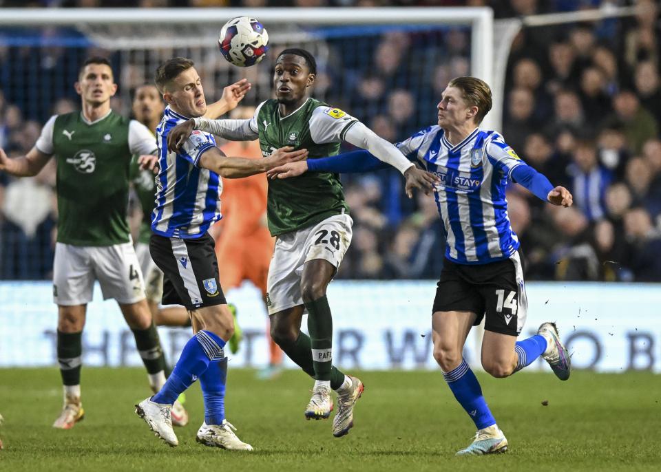 Sheffield Wednesday gallery
